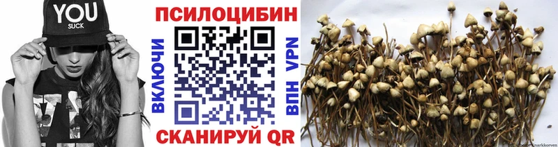 Псилоцибиновые грибы GOLDEN TEACHER Гай