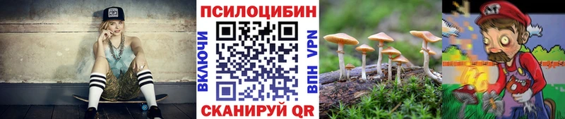 купить  цена  Гай  Псилоцибиновые грибы прущие грибы 