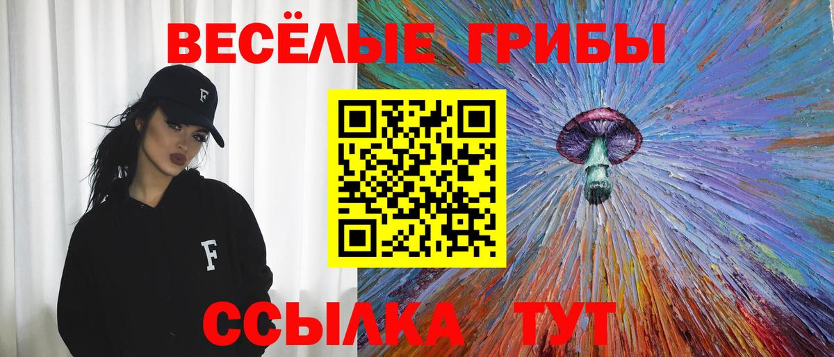 Галлюциногенные грибы GOLDEN TEACHER  Вход с VPN  Галлюциногенные грибы ЛСД  Гай 
