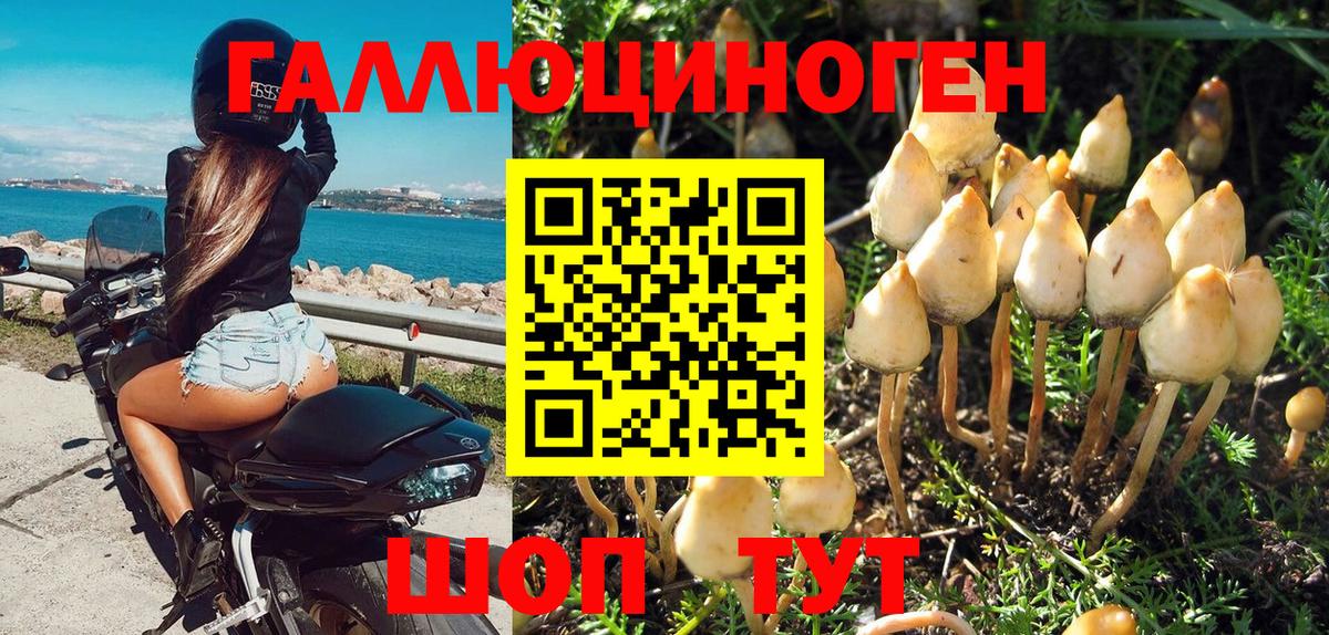 Псилоцибиновые грибы ЛСД Гай