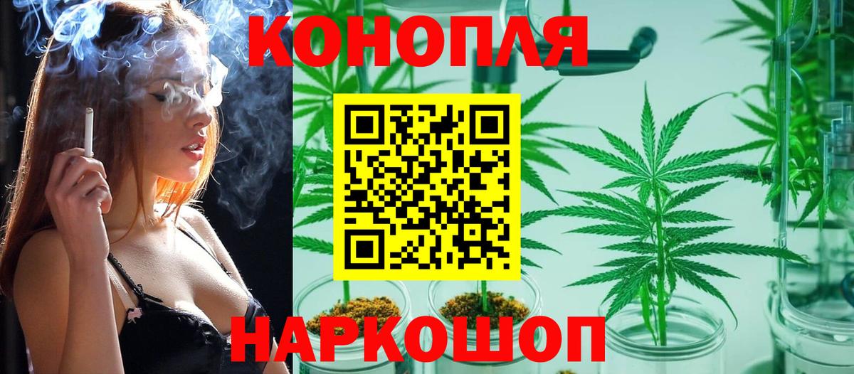 Бошки марихуана THC 21% Гай